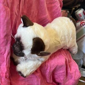 The Bearington Collection Plush Siamese Cat Toy